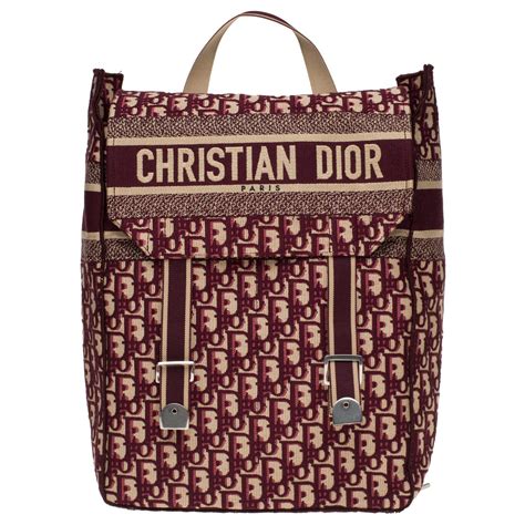 dior rucksack frauen|christian dior handtasche.